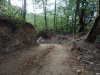 Эти прорытые тоннели новой дороги официально называются просто "использованием существующей лесохозяйственной дороги"