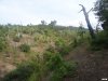 Общественная инспекция лесного массива между селами Джанхот и Прасковеевка