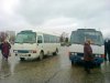 Автобусы на которых привезли православных активистов 