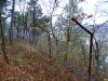 Якобы демонтированный забор вокруг "дачи Ремезкова" в Ленинградской щели