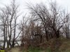 Пойменный лес на Горской косе в Краснодаре