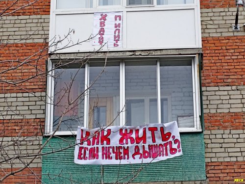 Жители Ростовского шоссе выражают свой протест против вырубки деревьев возле их домов