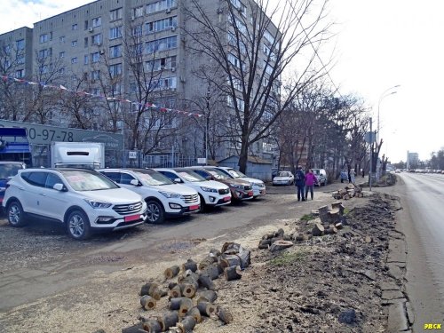 Краснодар. На Ростовском шоссе снова рубят деревья возле жилых домов