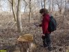 Краснодар, лесопарк "Красный Кут": во время инспекции мест рубок