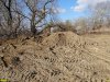 Лес Киргизские плавни, часть его территории убита в результате незаконных строительных работ