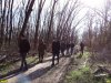 Комиссия Рослесхоза осматривает территорию лесопарка Красный Кут