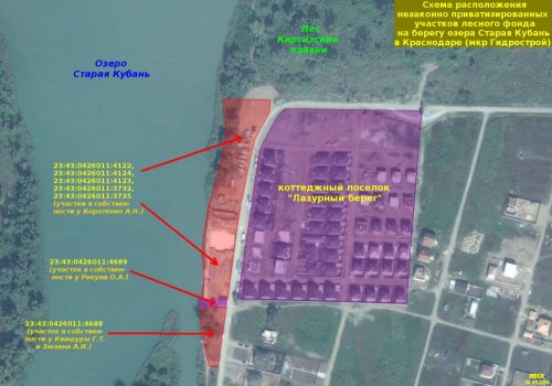 (2016.03.24) Схема расположения незаконного приватизированных участков лесного фонда на берегу озера Старая Кубань 