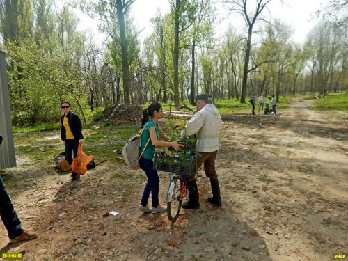 Активисты отправляются к месту высадки деревьев
