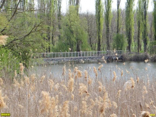 Дача Ремезкова на реке Кочеты 