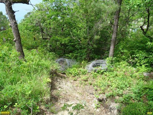 Незаконный забор вокруг участка лесного фонда, ограждавший раньше "дачу Ремезкова" демонтирован
