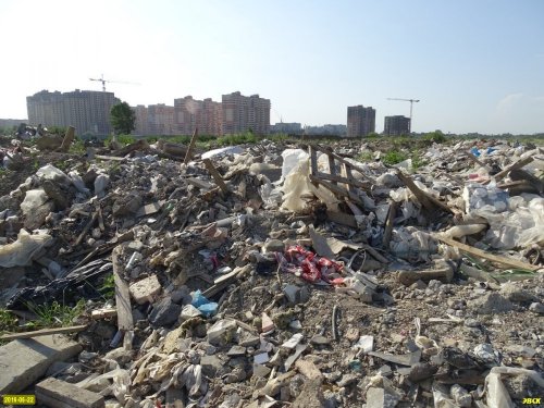 Неубранная в Павловских плавнях свалка свидетельствует, что Краснодар продолжает оставаться мусорградом