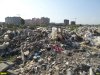 Неубранная в Павловских плавнях свалка свидетельствует, что Краснодар продолжает оставаться мусорградом