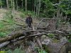 Гора Липовая. Лес превращен в непроходимое кладбище убитых деревьев