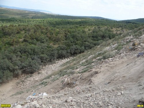 Под Геленджиком в огромную свалку превращают лесной массив