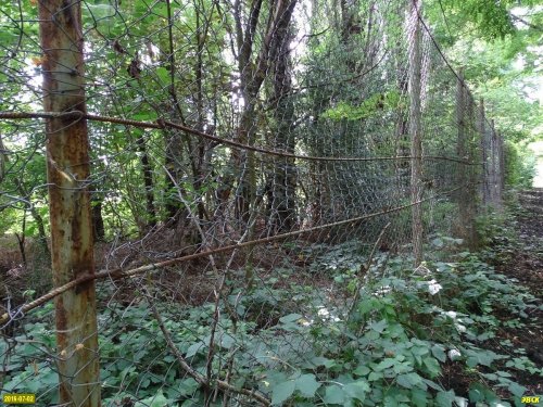Забор, огрождающий часть лесного фонда на даче Ремезкова