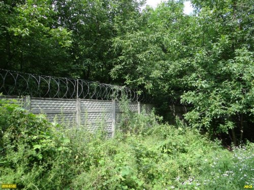 Забор на даче Ремезкова