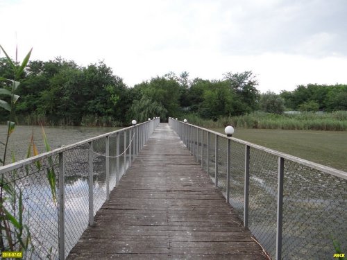 Мост-забор, перегородивший реку Кочеты 