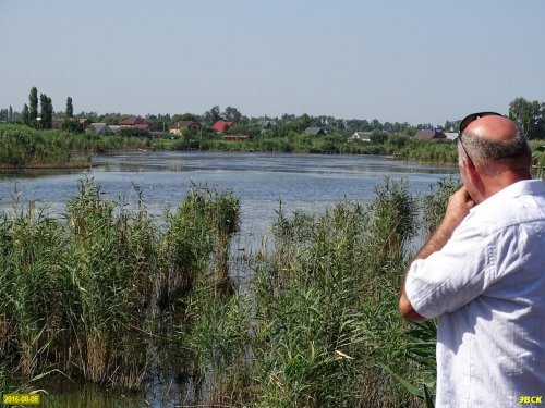 Глава Красносельского поселения М.Кныш обозревает замор рыбы в реке Кочеты