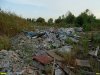 Свалка отходов в лесном массиве в Павловских плавнях