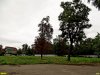 Участок Вишняковского сквера, который должен был возвращен жителям Краснодара и снова засажен деревьями