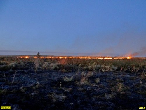 Пожар в Черновских плавнях