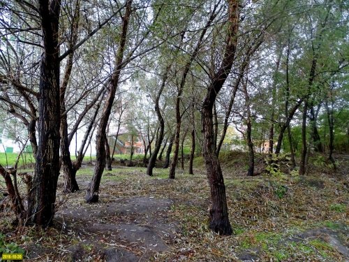Зеленая зона на берегу Карасуна в Комсомольском районе, отданная под застройку Приходу Храма Св. Иоанна Крестителя