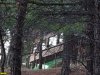 Один из "береговых" коттеджей, для строительства которых велась рубка леса
