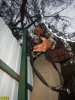 Общественная инспекция территории Кабардинского участкого лесничества 