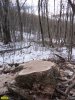  Вырубка леса на велотрассе Кабанья на горе Герсеванова
