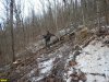  Вырубка леса на велотрассе Кабанья на горе Герсеванова