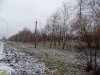  Зеленая зона в хуторе Ленина вдоль трассы Краснодар-Кропоткин