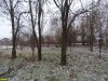 Зеленая зона в хуторе Ленина вдоль трассы Краснодар-Кропоткин