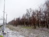 Зеленая зона в хуторе Ленина вдоль трассы Краснодар-Кропоткин