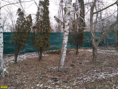 Зеленую зону на хуторе Ленина огородили забором, чтобы строить автотехцентр "Вольво"