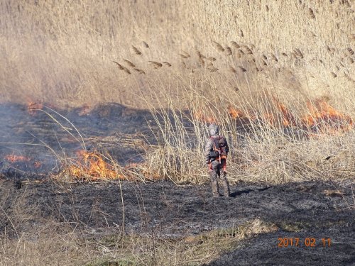 Пожар в Краснокутских плавнях
