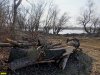 Следы варварского уничтожения леса на косе возле Горского затона в Краснодаре