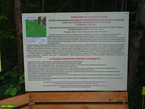 Инспекция Экологической Вахты в Гуамке и Мезмае в связи с нашествием самшитовой огнёвки