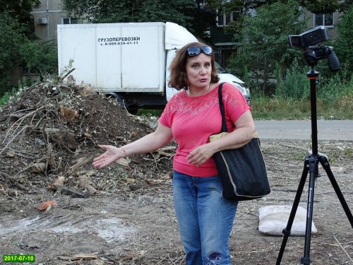 Местная жительница рассказывает о проблеме уничтожения тополей на территории гимназии №72 в Краснодаре 
