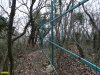 Незаконно установленный ООО "Эксим-М" забор на территории лесного фонда возле Криницы (Геленджик)