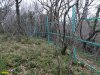 Забор вокруг арендованного ООО "Эксим-М" лесного участка возле села Криница