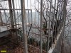 Криница. Предприниматель Сергей Цыбулин незаконно огородил участок леса возле Чёрного моря
