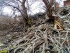 Масштабность завалов мусора в русле старицы Кубани поражает