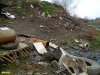 Мусор и канализация на берегу старицы реки Кубань