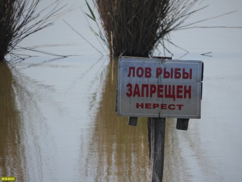 Такими табличками "промаркирован" пруд возле станицы Новомышастовской