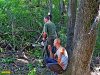 Порубщики, нанятые родственниками Ткачева, уничтожают лесополосу