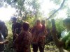 Жители пытаются защитить лесополосу от вырубки
