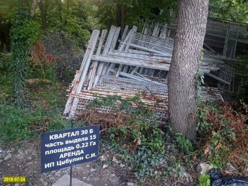 Криница. Демонтированные секции забора образовали свалку в лесу рядом с арендованным Цыбулиным участком