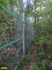Заборы, построенные ООО "Эксим-М" в лесу возле Криницы, вопреки официальным ответам МПР Кубани стоят на месте