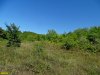 Причерноморский лес под Джубгой, незаконно переданный в собственность в целях застройки