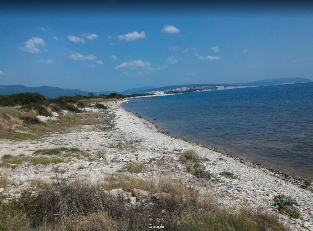 Кто планирует захватить берег моря на Тонком Мысе в Геленджике? |  Экологическая Вахта по Северному Кавказу
